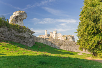 Sticker - Zamek w Ogrodzieńcu / Jura krakowsko-częstochowska / Panorama