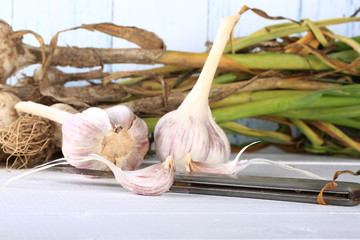 garlic organic farm products selective focus