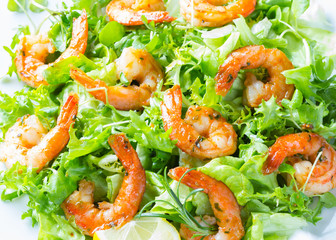 Wall Mural - Seafood shrimp lettuce salad on white plate