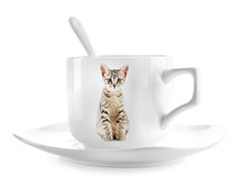 Coffee Cup With Photo Of Cute Cat Isolated On White