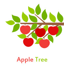 Wall Mural - apple tree branch