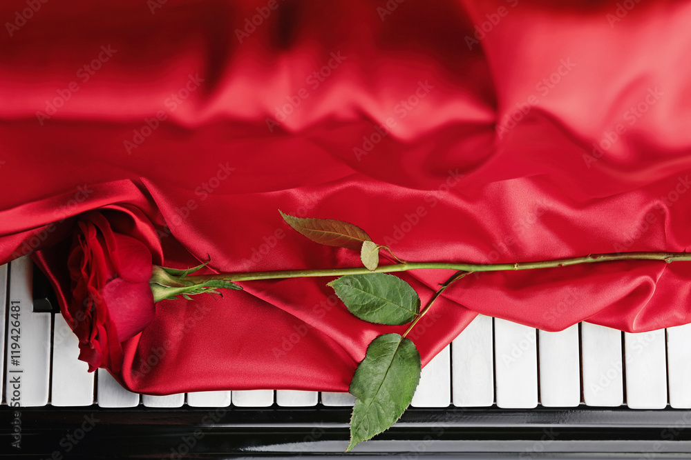 Red rose with red cloth on piano