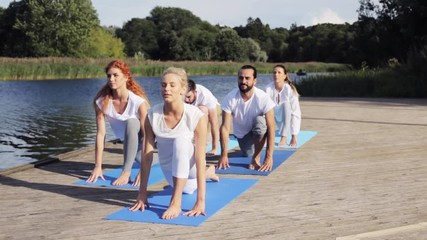 Wall Mural - group of people making yoga exercises outdoors