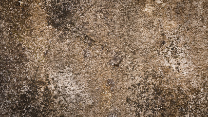 Poster - Abstract cement wall  or street floor texture background..