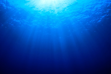 Poster - Underwater blue background in sea