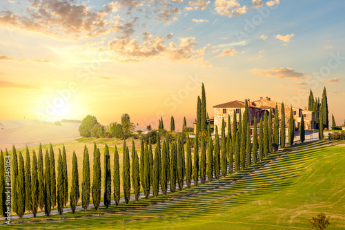 Fotografie, Obraz Tuscany at sundown - countryside road with trees and house
