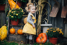 Smiling Girl Standing By Pumpkins