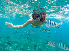 Young Woman Snorkeling With The Fishes In Sea Of Malaysia