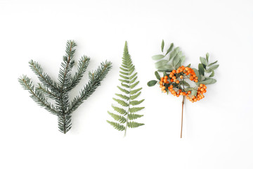 Wall Mural - branches of pine needles, ferns and mountain ash. flat lay, top view autumn wallpaper