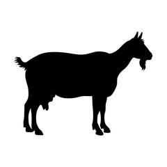 Wall Mural - Goat, shade picture