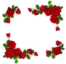 Frame Of Red Roses (shrub Rose) On A White Background With Space For Text