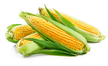 Fresh Corn With Green Leaves Still Life Vegetables