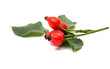 rosehip berries
