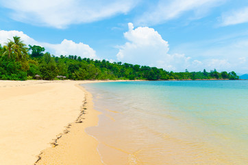 Wall Mural - The Beach in Thailand,koh phayam,ranong