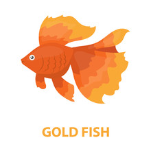Gold Fish Icon Cartoon. Singe Aquarium Fish Icon From The Sea,ocean Life Cartoon.