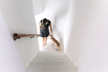 High Angle View Of Woman Stroking Dog While Standing On Staircase