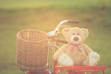 Wall Mural - Lovely brown teddy bear in rattan basket on vintage bike in gree