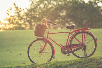 Wall Mural - Lovely brown teddy bear in rattan basket on vintage bike in gree