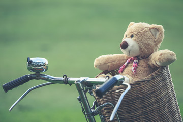 Wall Mural - Lovely brown teddy bear in rattan basket on vintage bike in gree