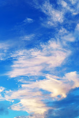 Wall Mural - nice sky