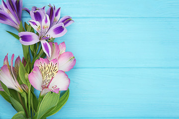 Canvas Print - Fresh flowers on turquoise  wooden background