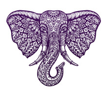 Hand Drawn Front View Head Elephant With Ornament. Vector Illustration