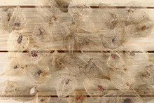 Dried Fruits Of The Cape Gooseberry
