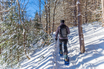 Young man snowshoeing in winter,  in the Quebec eastern townships