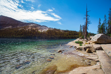 Canvas Print - Yosemite National Park view of Tenaya Lake along Tioga pass