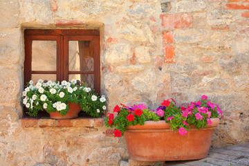 Window with flowers