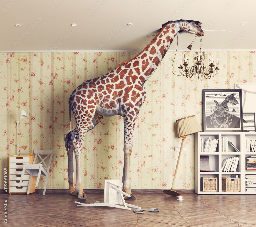 giraffe  in the living room - obrazy, fototapety, plakaty 