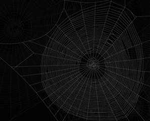 Wall Mural - background from dark gray dense webs