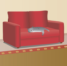The Gray Cat Sleeps On The Red Sofa