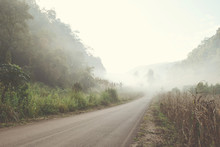 Road In The Fog Forest Vintage Style