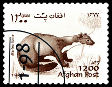  Postage Stamp. Stone Marten.