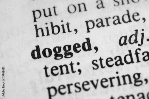 Fotografia, Obraz  Dogged