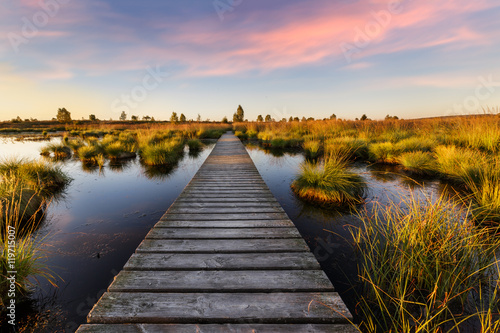 Fotografie, Obraz Sunset in high fens - coucher de soleil dans les Hautes Fagnes