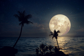 artwork fantasy styles - beautiful tropical beach with milky way star and full moon in night skies. 
