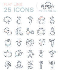 Canvas Print - Set Vector Flat Line Icons Vegetables