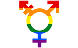 Fototapeta Młodzieżowe - rainbow transsexual gender sex symbol isolated