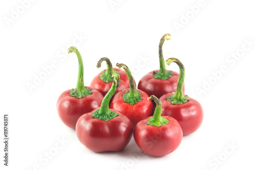 500_F_119745071_k36sWMYtmZFnjp0N3wkJJ2cUmLFwgX6G.jpg