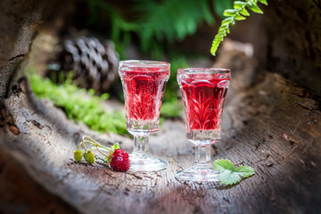 homemade liqueur with wild strawberry and alcohol