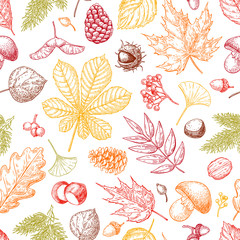 autumn seamless vector pattern with leaves, berries, fir cones,