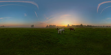 Foggy Sunrise On Meadow Spherical Panorama