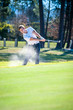 © danedwards - golfer playing a chip shot onto the green