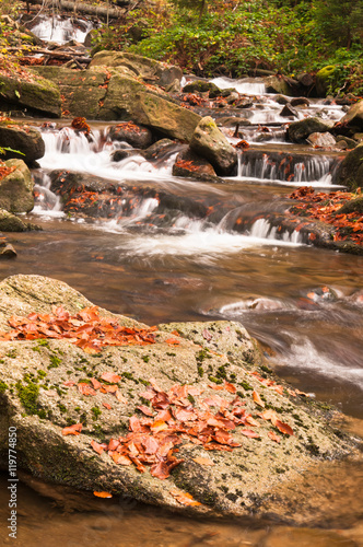 Nowoczesny obraz na płótnie Autumn river with leaves