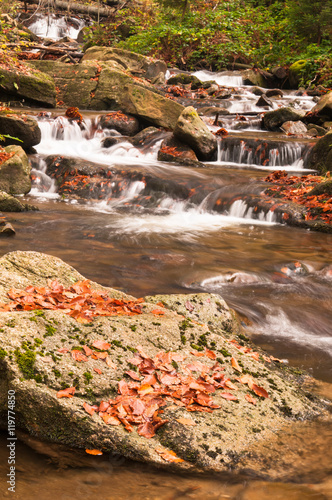 Naklejka dekoracyjna Autumn river with leaves