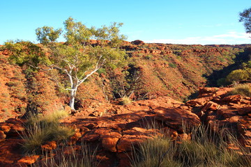 Sticker - Kings Canyon, Australia