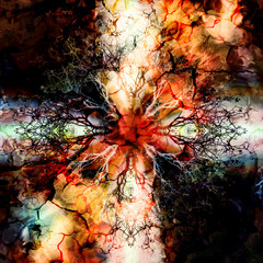 Fototapete - Beautiful ornamental mandala with tree pattern, symbol of life.