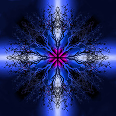 Fototapete - Beautiful ornamental mandala with tree pattern, symbol of life.